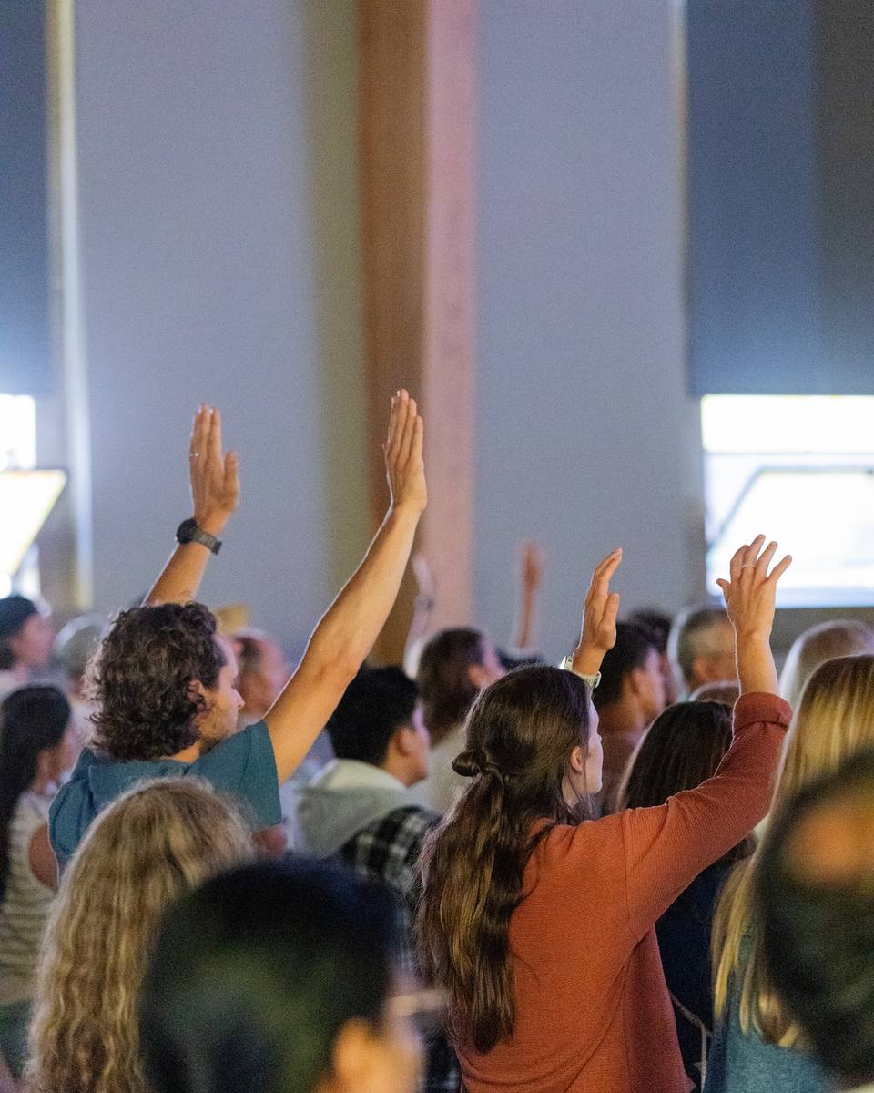 People in a crowd, seen from behind, raising their hands in worship